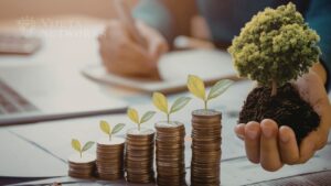 Financial Freedom