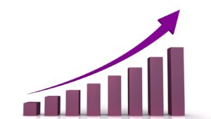 Business Growth System